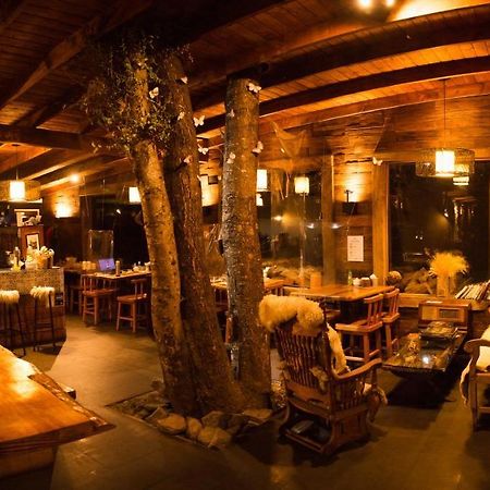 Cabana & Loft El Laurel 特木科 外观 照片